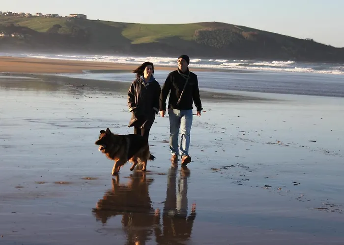 Playa De Oyambre キャンプ場 *