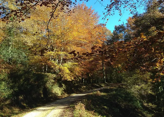 キャンプ場 Playa De Oyambre *