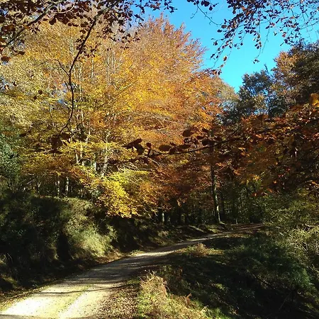 Campsite Playa De Oyambre *