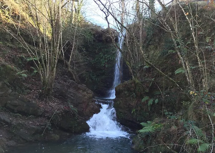 Playa De Oyambre Camping *